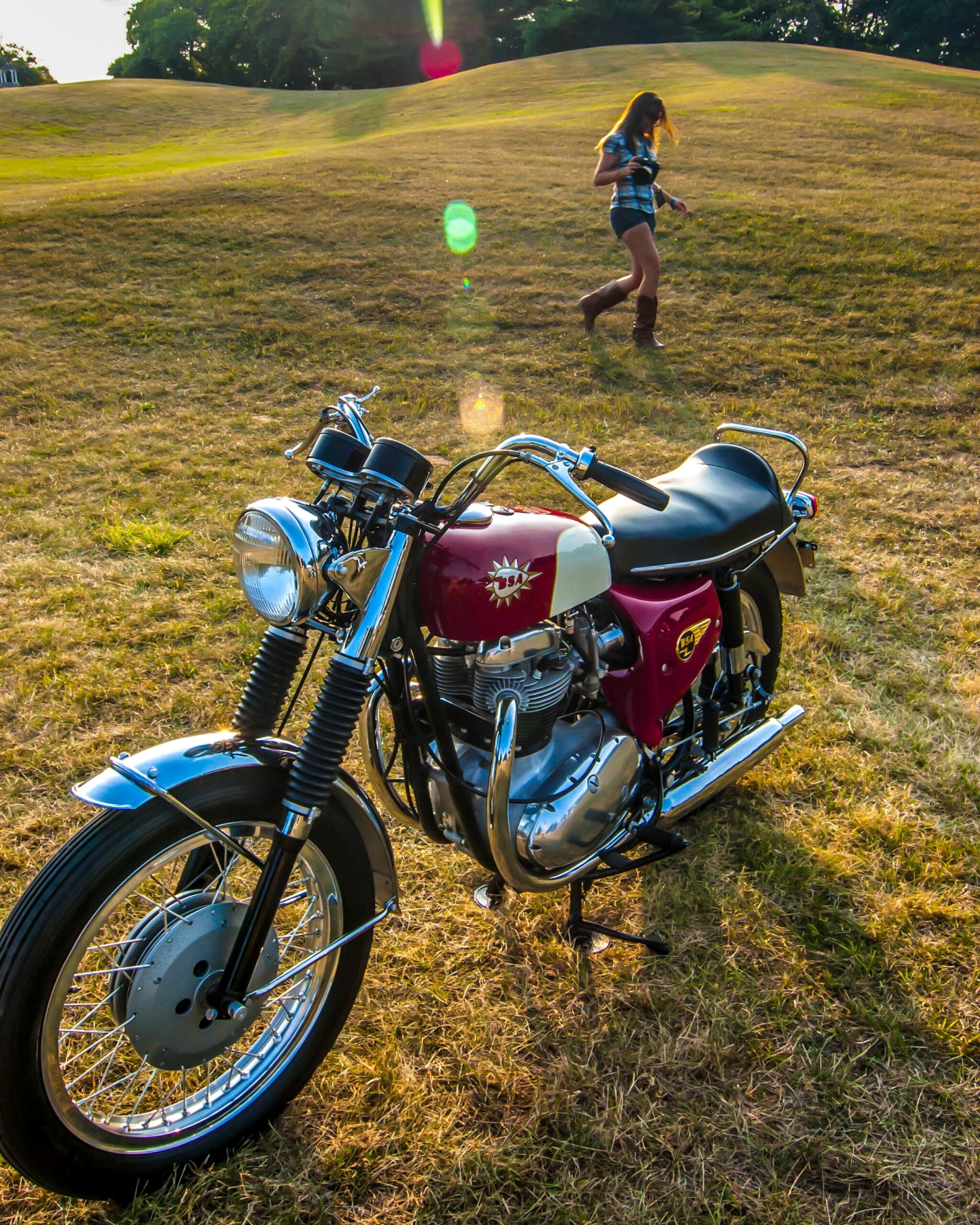 Hauptman - Bsa Hauptman - BSA