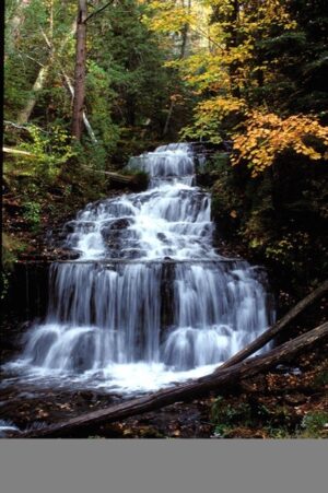 Wagner In Fall Wagner In Fall